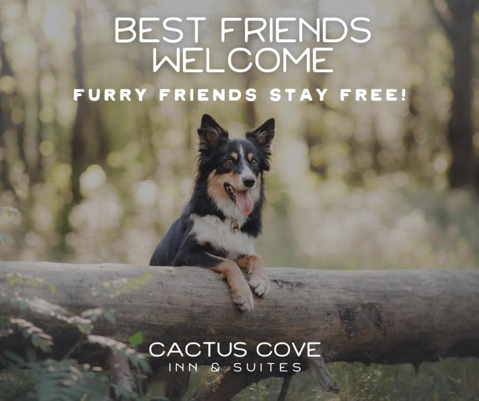 Cactus Cove Inn And Suites Amarillo Bagian luar foto